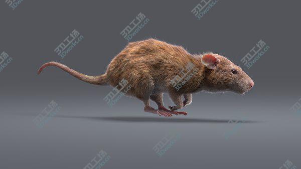 images/goods_img/20210312/Rat Fur Animated 2 model/1.jpg